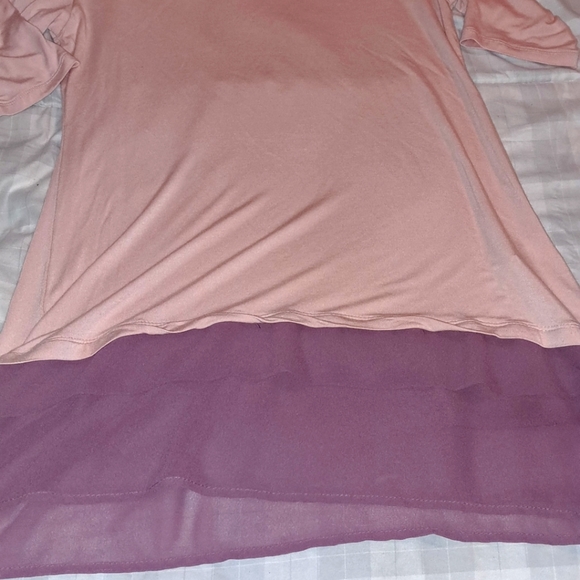 Pink blouse by LOGO Lori Goldstein. Size XS. Has sheer trim and super soft. - Picture 3 of 3